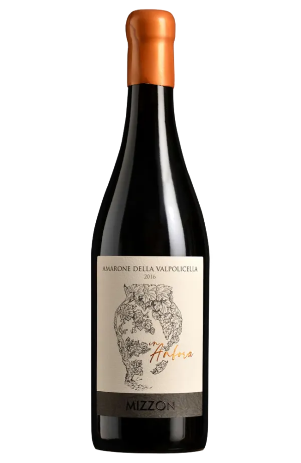 Amarone della Valpolicella DOCG Classico in Anfora, Cantina Mizzon