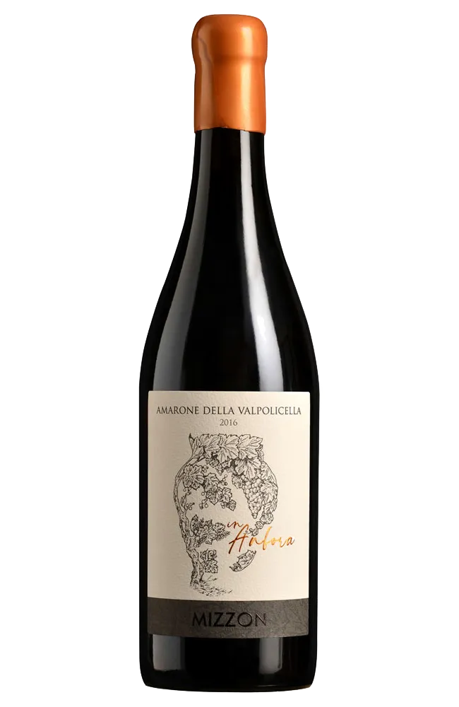 Amarone della Valpolicella DOCG Classico in Anfora, Cantina Mizzon